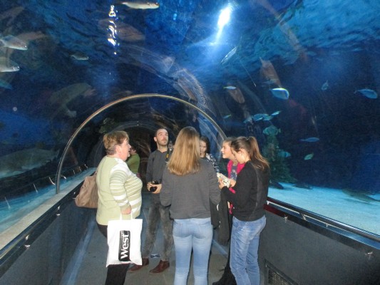 tropicarium_16.jpg